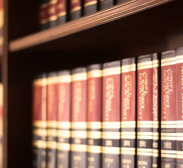 Top USA Appeal Strategies Every Legal Researcher Should Know