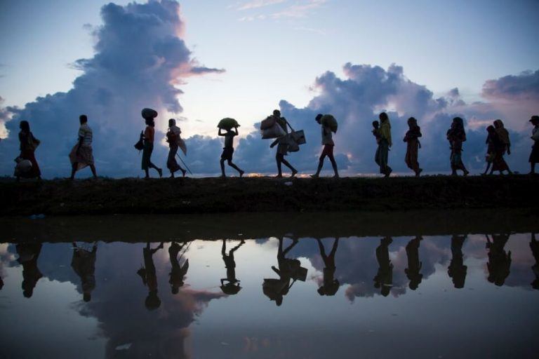 Refugee Status Application and Legal Rights Under International Law